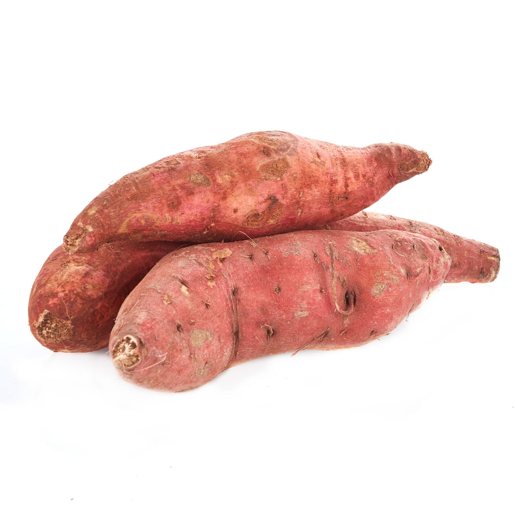 Jamaican Sweet Potato (x2)